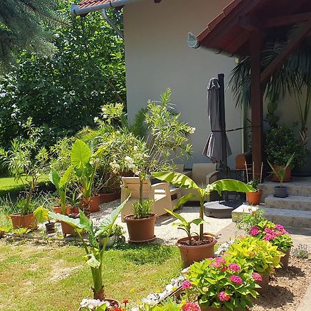 Feher Rozsa Apartman Черсегтомай Экстерьер фото