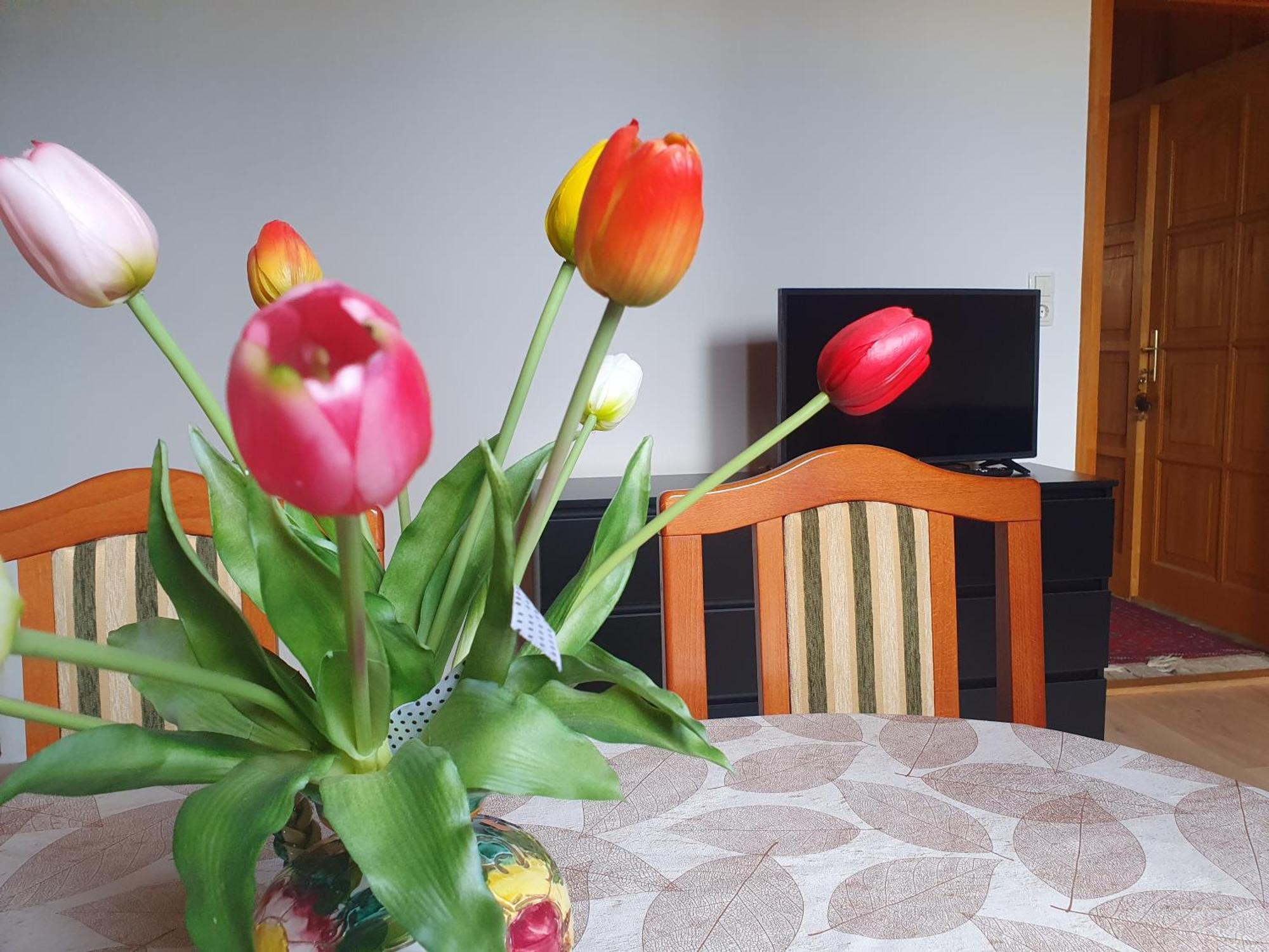 Feher Rozsa Apartman Черсегтомай Экстерьер фото